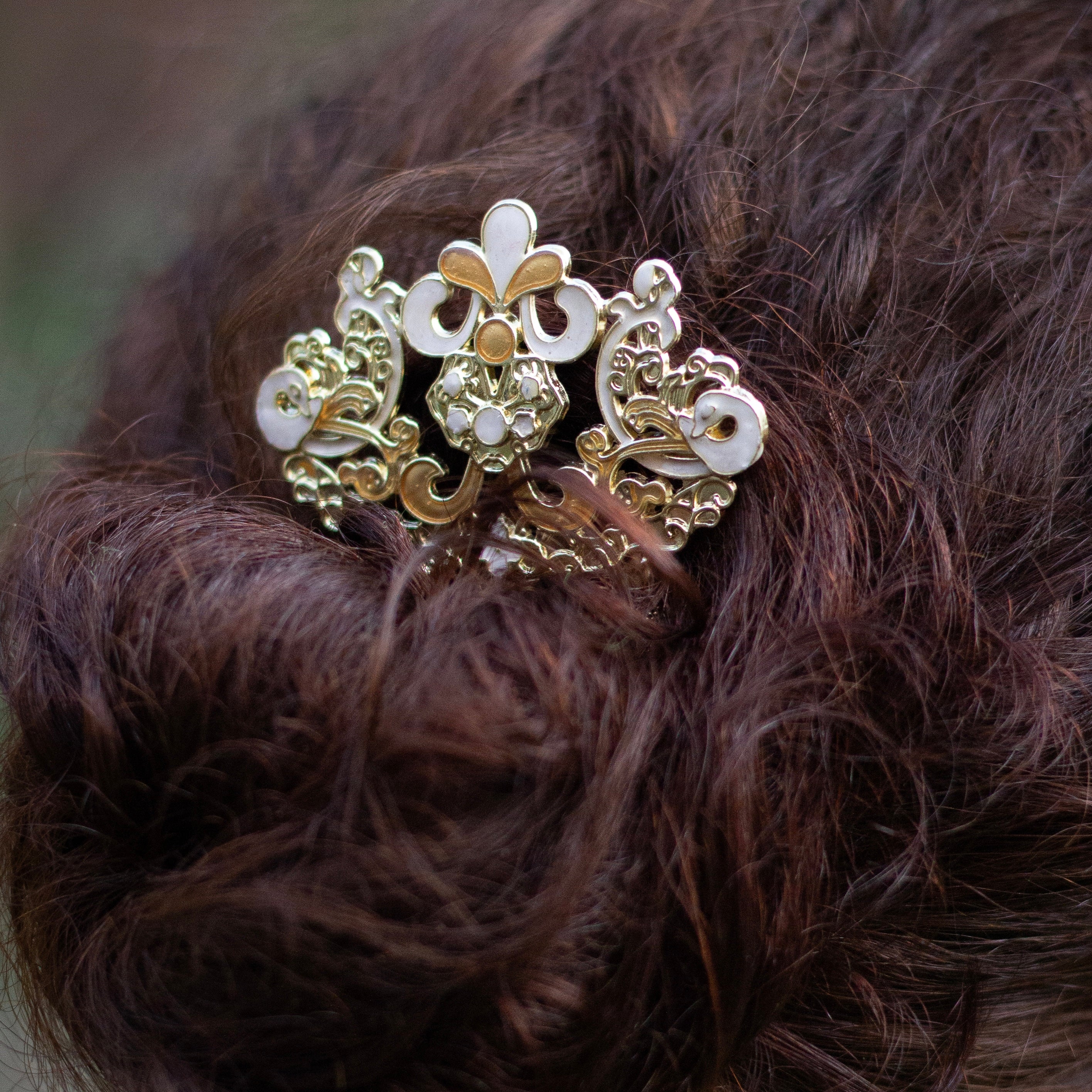 Accessoires Cheveux